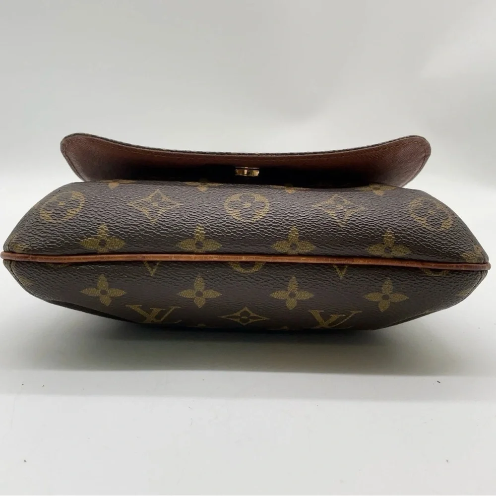 Louis Vuitton brand louis